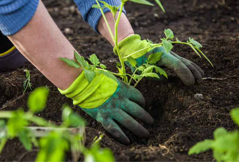 landscaping